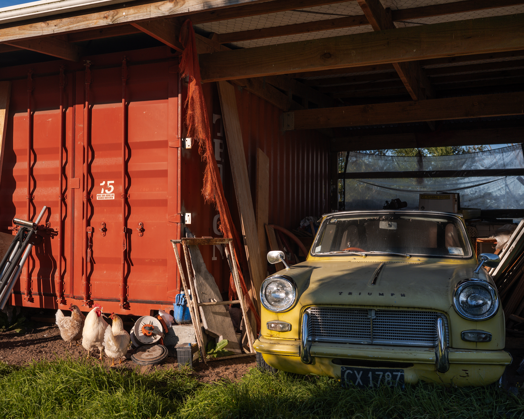 Triumph and Chickens